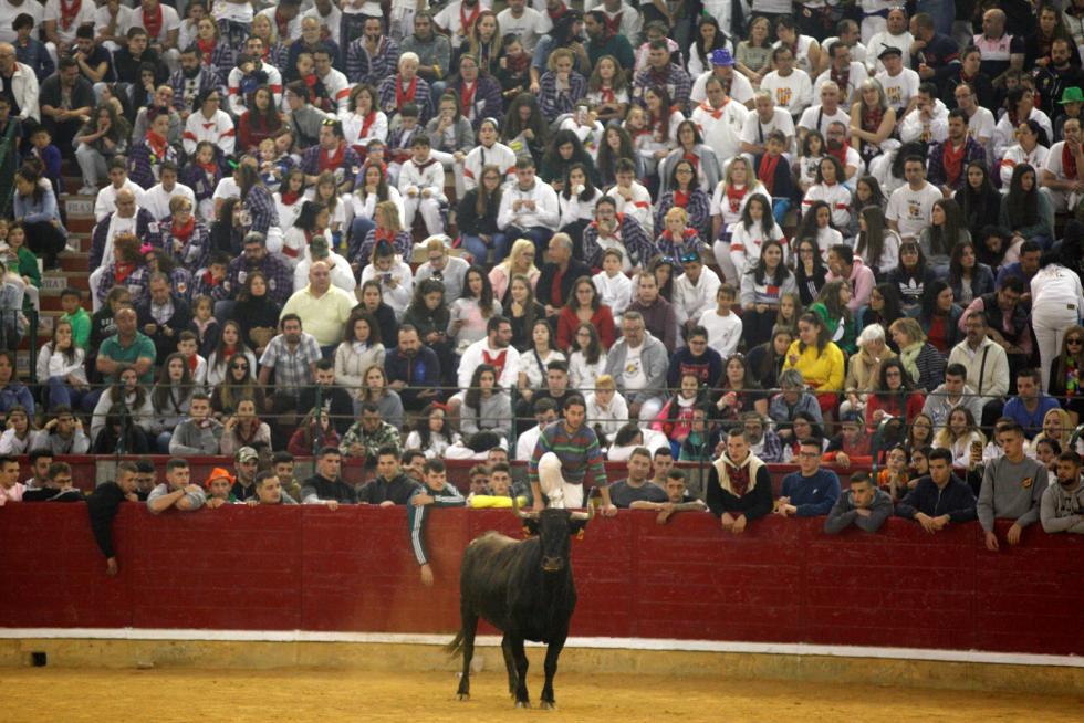 Primer día de vaquillas en las fiestas del Pilar 2019