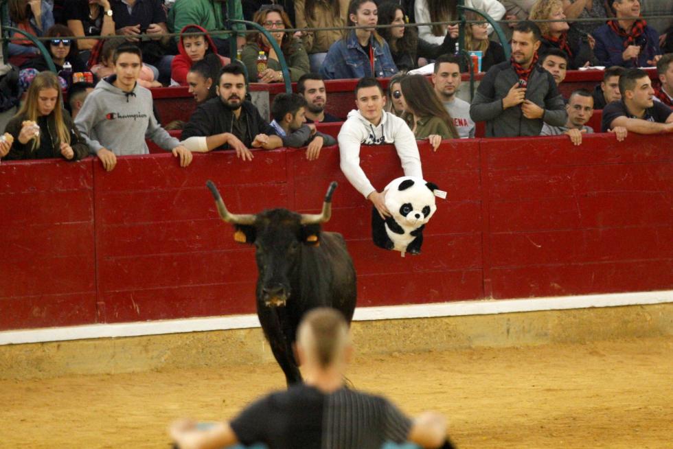 Primer día de vaquillas en las fiestas del Pilar 2019