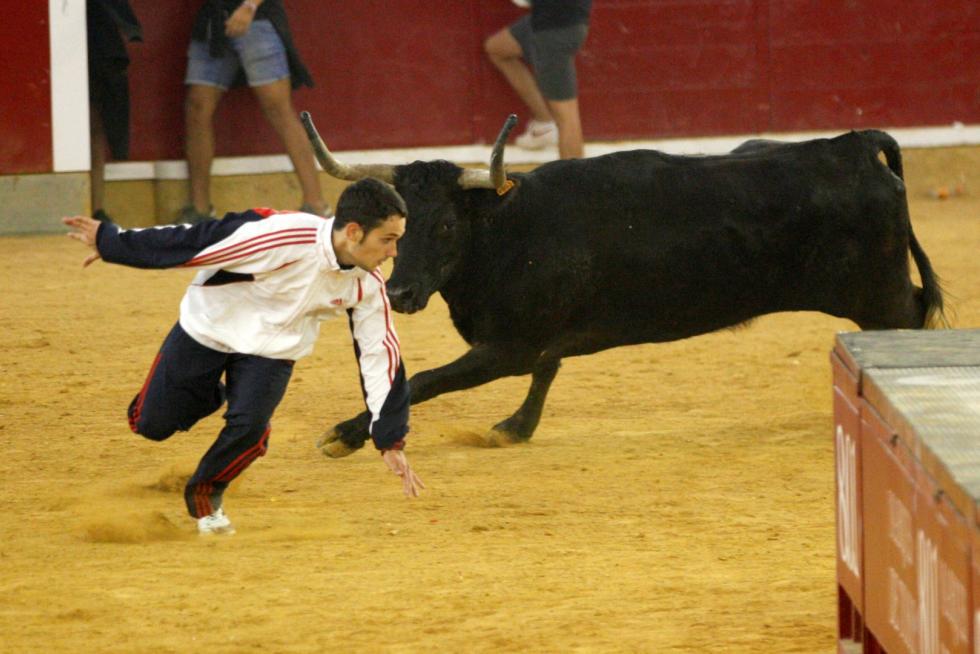 Primer día de vaquillas en las fiestas del Pilar 2019