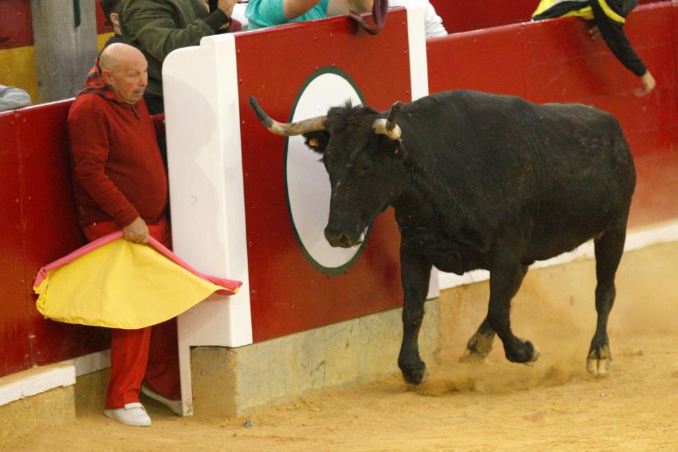 Primer día de vaquillas en las fiestas del Pilar 2019