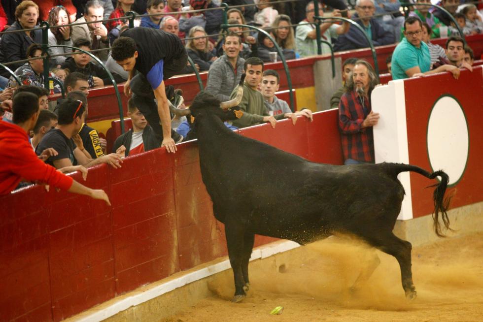 Primer día de vaquillas en las fiestas del Pilar 2019