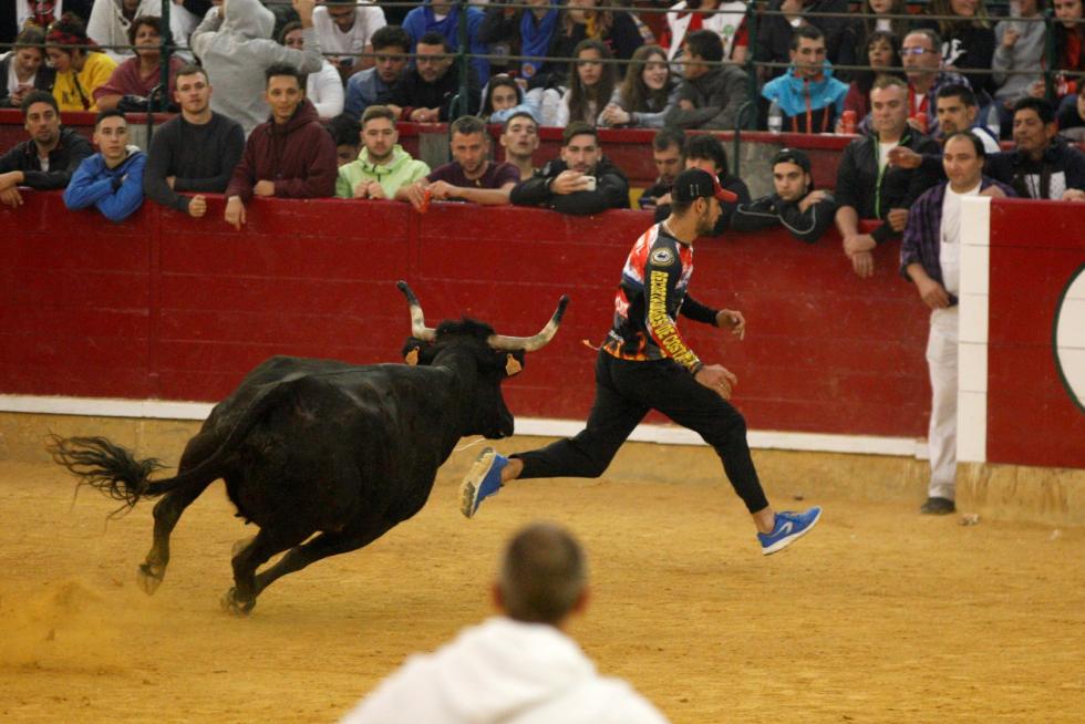Primer día de vaquillas en las fiestas del Pilar 2019