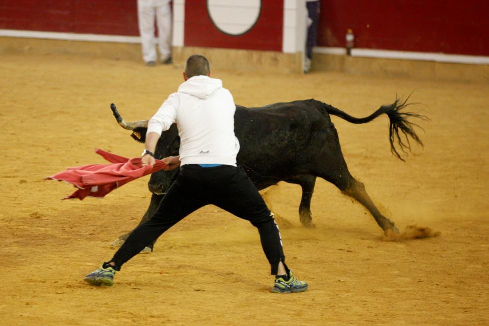 Primer día de vaquillas en las fiestas del Pilar 2019