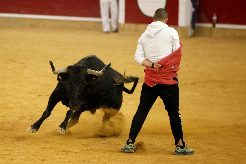 Primer día de vaquillas en las fiestas del Pilar 2019