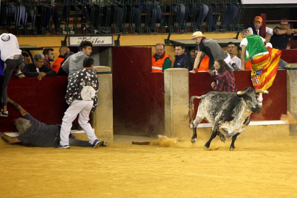 Primer día de vaquillas en las fiestas del Pilar 2019