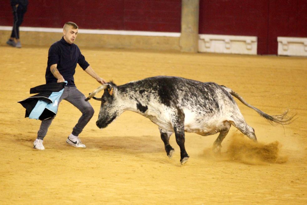Primer día de vaquillas en las fiestas del Pilar 2019