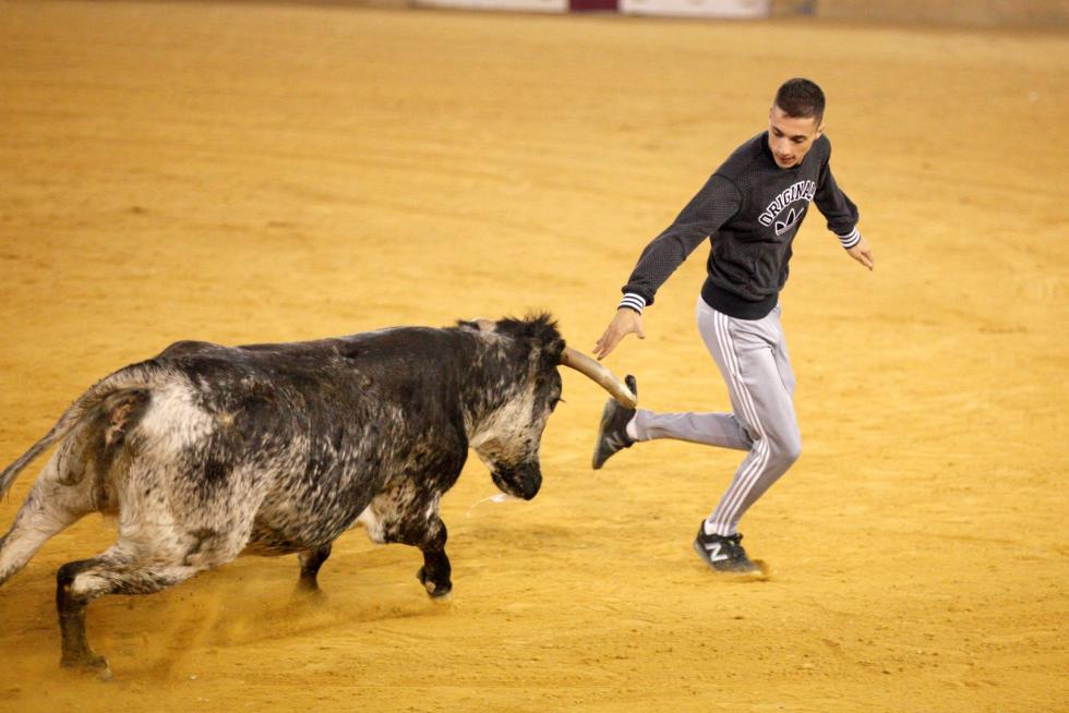 Primer día de vaquillas en las fiestas del Pilar 2019