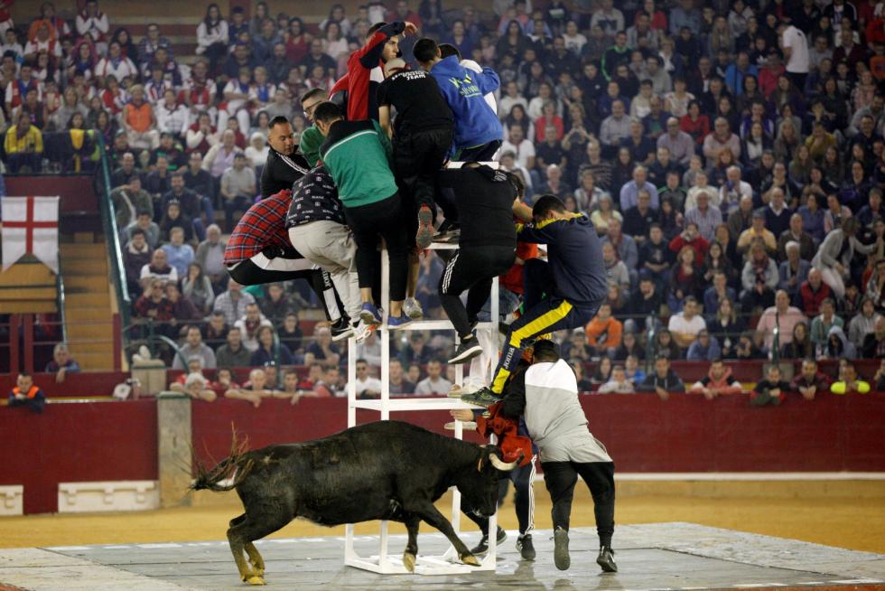 Primer día de vaquillas en las fiestas del Pilar 2019