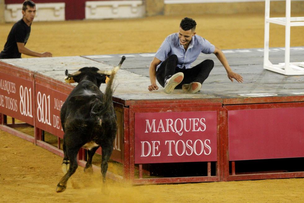 Primer día de vaquillas en las fiestas del Pilar 2019