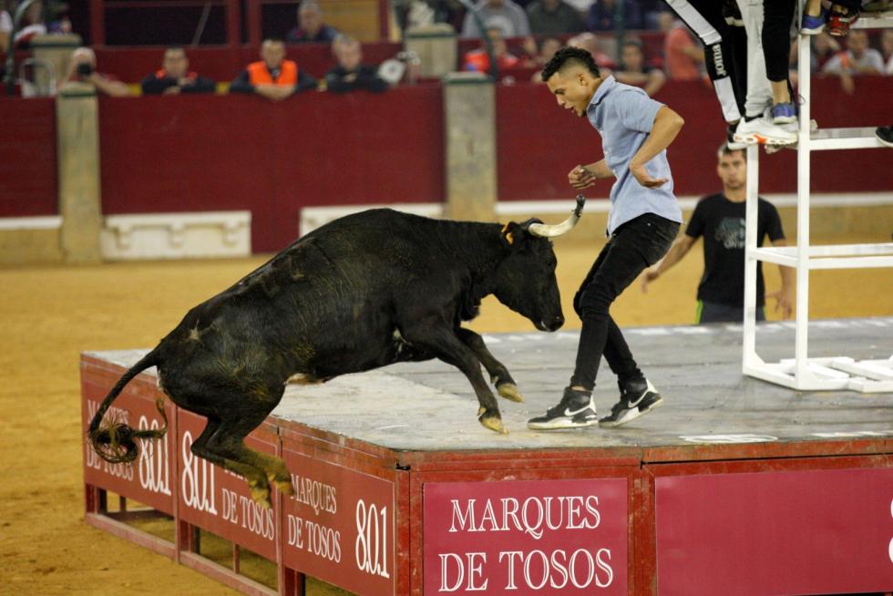 Primer día de vaquillas en las fiestas del Pilar 2019