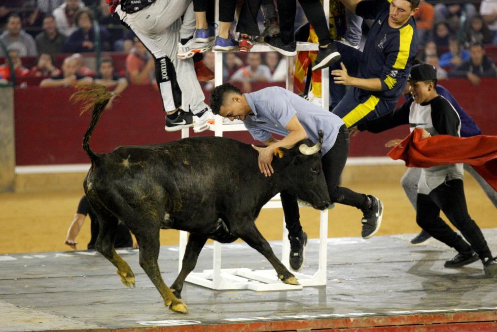 Primer día de vaquillas en las fiestas del Pilar 2019