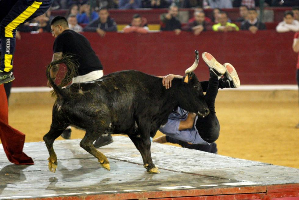 Primer día de vaquillas en las fiestas del Pilar 2019