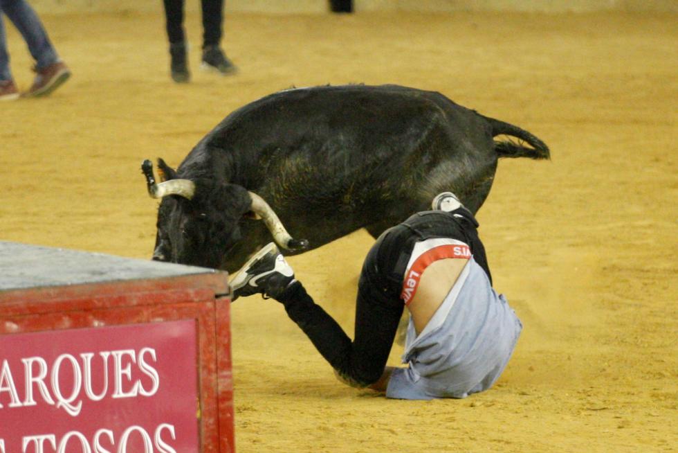 Primer día de vaquillas en las fiestas del Pilar 2019
