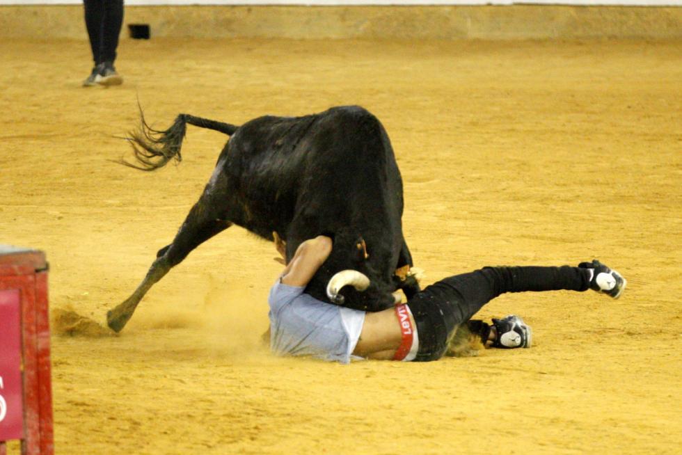 Primer día de vaquillas en las fiestas del Pilar 2019