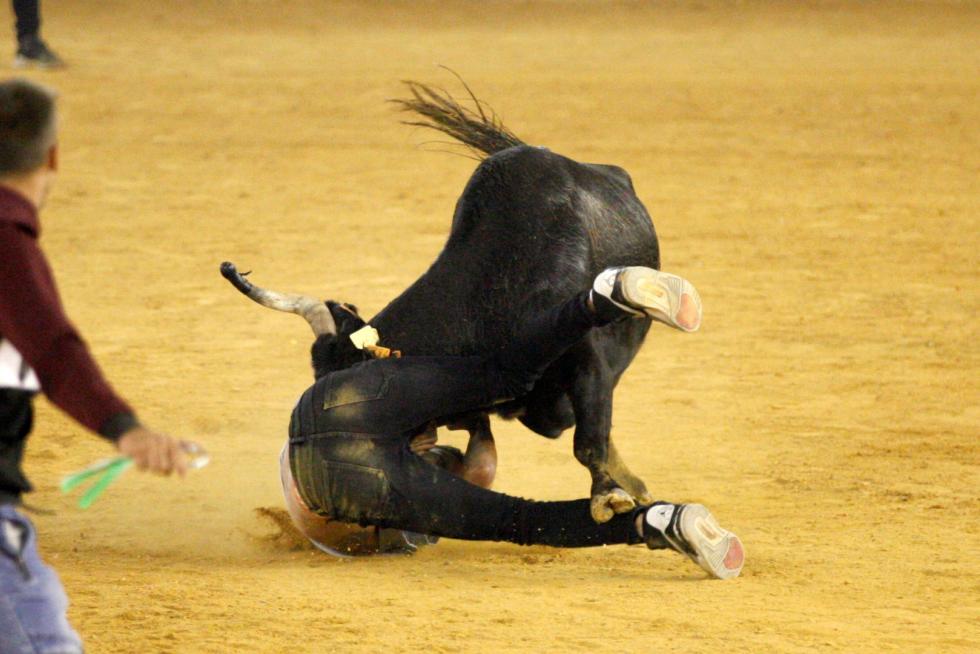 Primer día de vaquillas en las fiestas del Pilar 2019