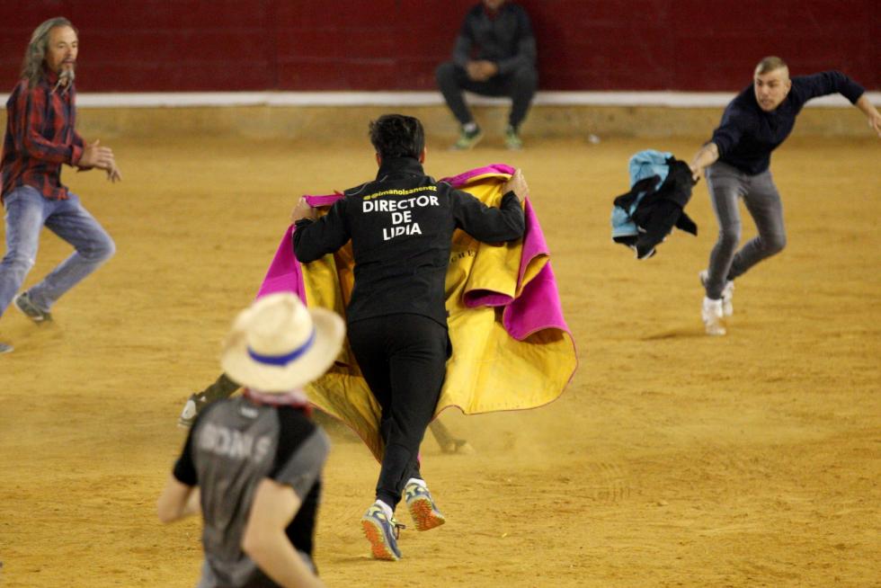 Primer día de vaquillas en las fiestas del Pilar 2019