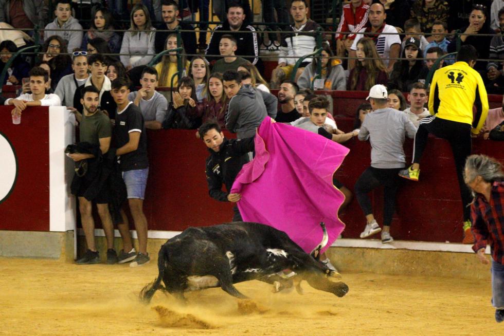Primer día de vaquillas en las fiestas del Pilar 2019