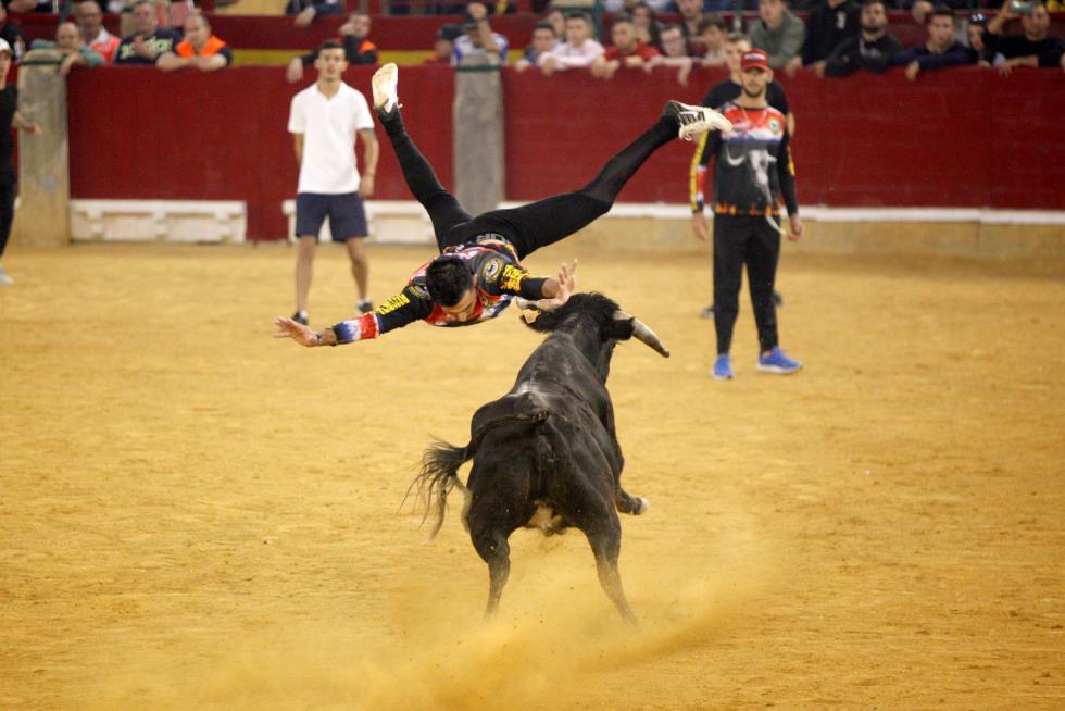 Primer día de vaquillas en las fiestas del Pilar 2019