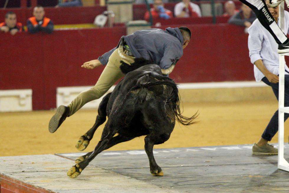 Primer día de vaquillas en las fiestas del Pilar 2019