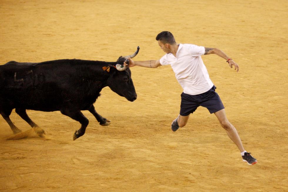 Primer día de vaquillas en las fiestas del Pilar 2019