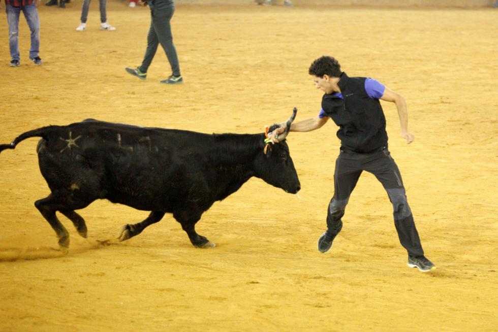 Primer día de vaquillas en las fiestas del Pilar 2019