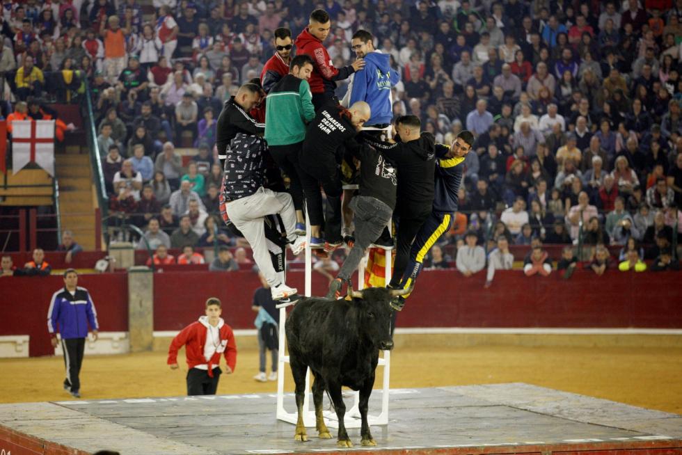 Primer día de vaquillas en las fiestas del Pilar 2019