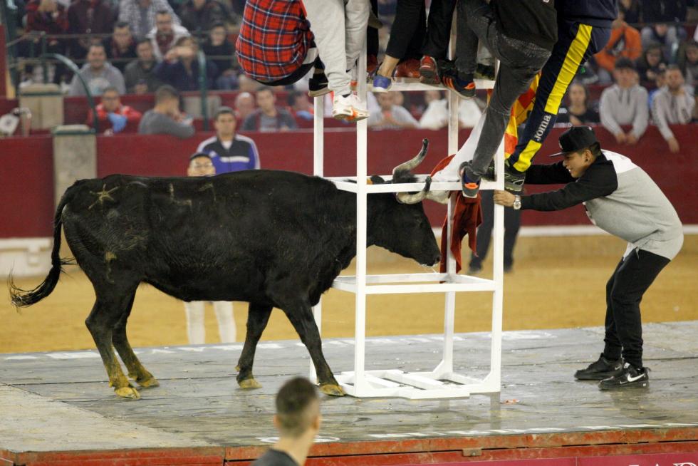 Primer día de vaquillas en las fiestas del Pilar 2019