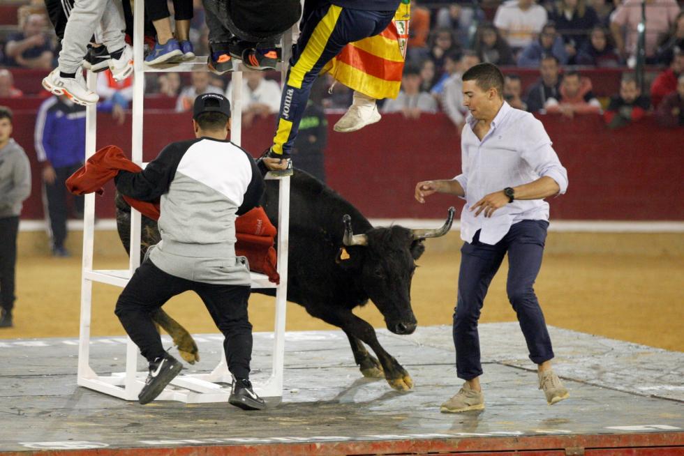 Primer día de vaquillas en las fiestas del Pilar 2019