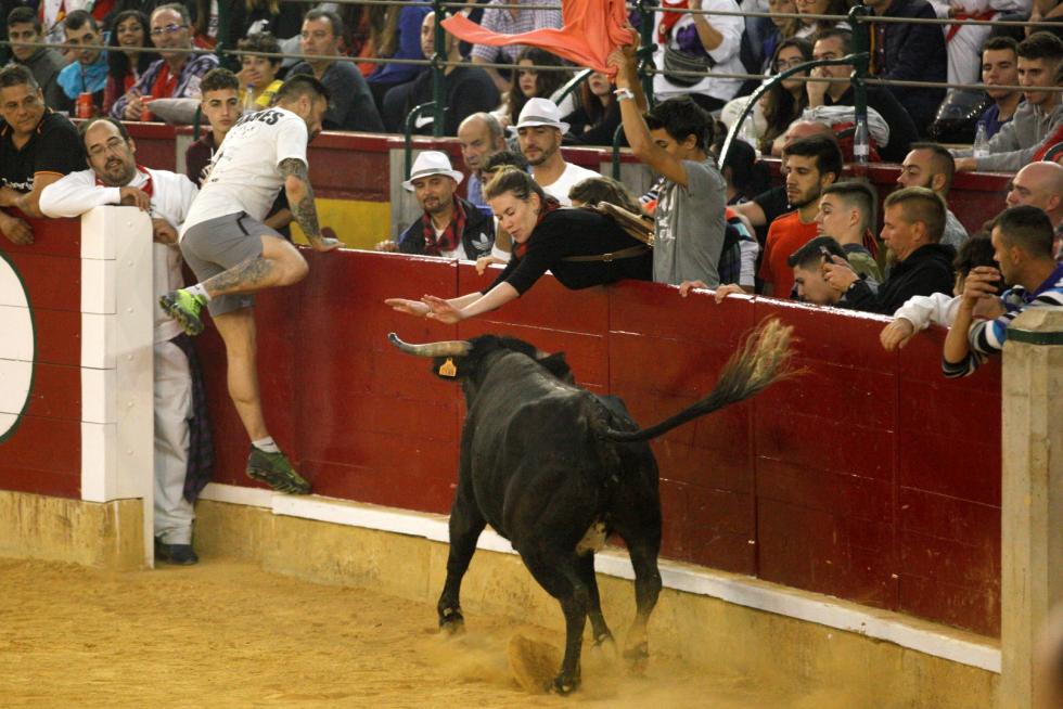 Primer día de vaquillas en las fiestas del Pilar 2019