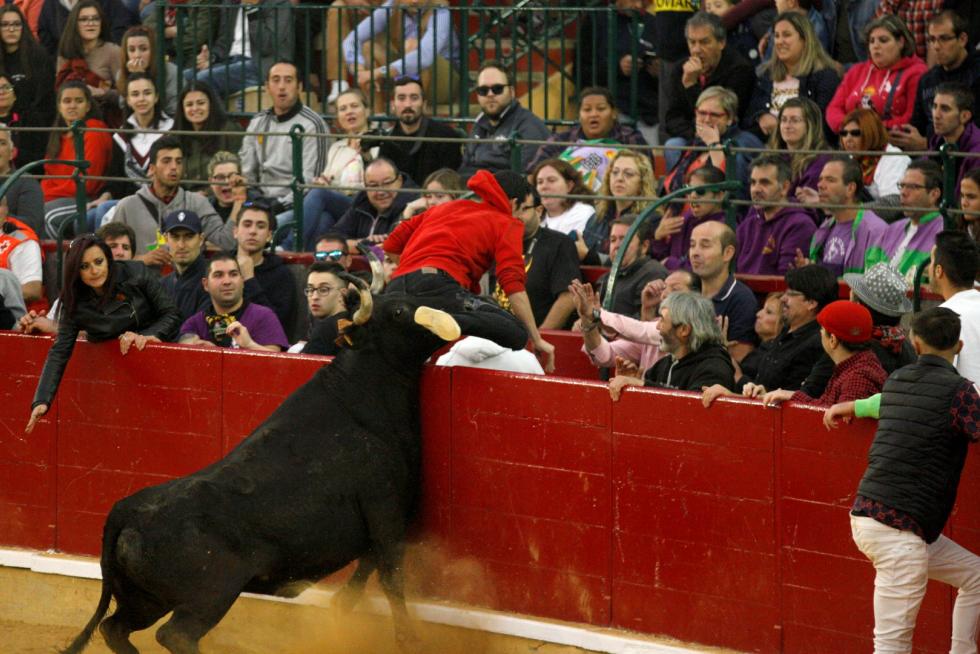 Primer día de vaquillas en las fiestas del Pilar 2019
