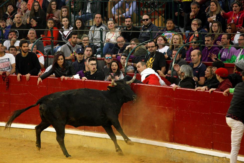 Primer día de vaquillas en las fiestas del Pilar 2019