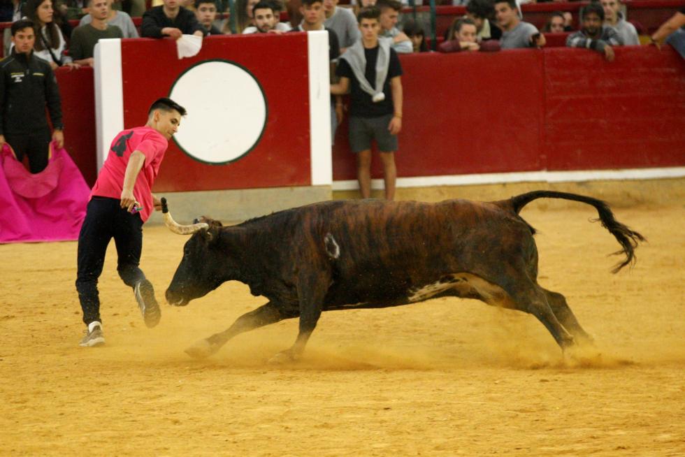 Primer día de vaquillas en las fiestas del Pilar 2019