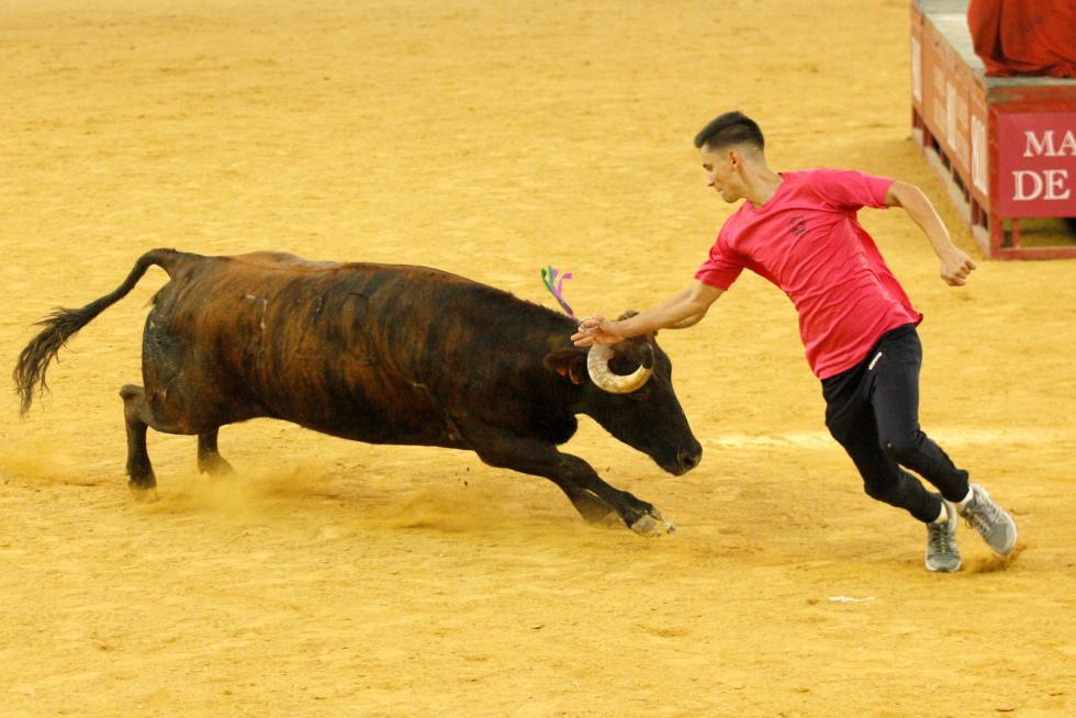 Primer día de vaquillas en las fiestas del Pilar 2019