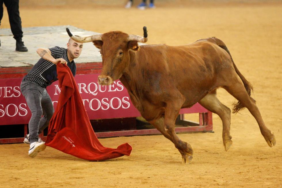 Primer día de vaquillas en las fiestas del Pilar 2019