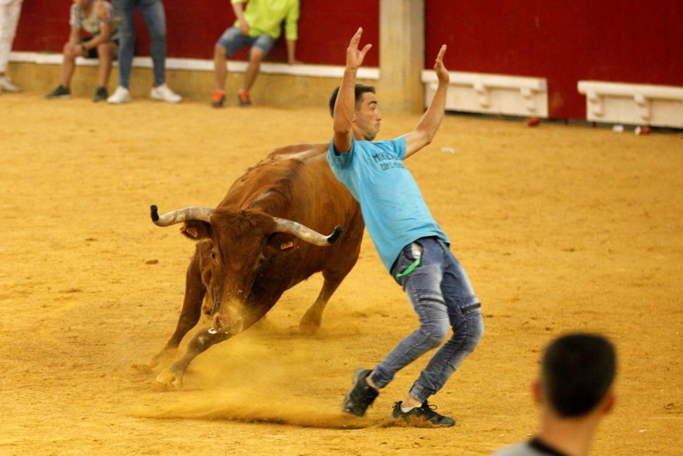 Primer día de vaquillas en las fiestas del Pilar 2019