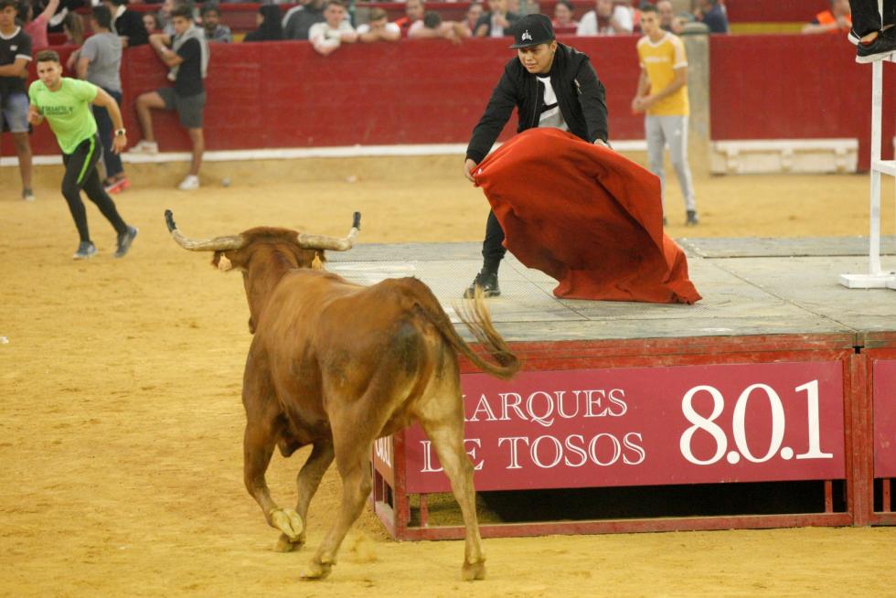 Primer día de vaquillas en las fiestas del Pilar 2019