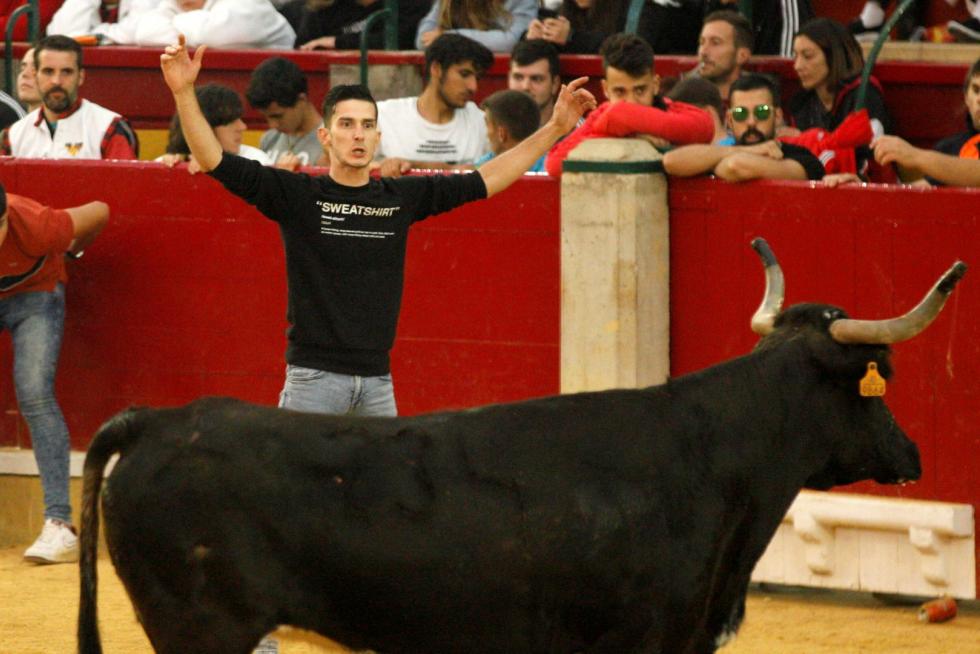 Primer día de vaquillas en las fiestas del Pilar 2019
