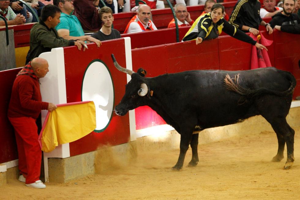 Primer día de vaquillas en las fiestas del Pilar 2019