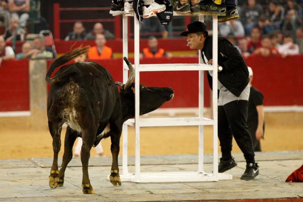 Primer día de vaquillas en las fiestas del Pilar 2019