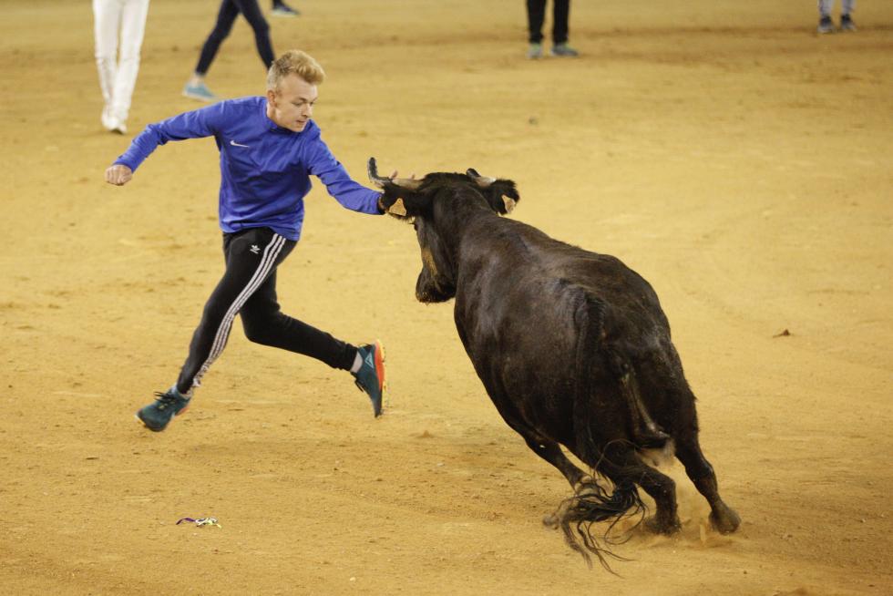 Vaquillas en las Fiestas del Pilar. Lunes 7