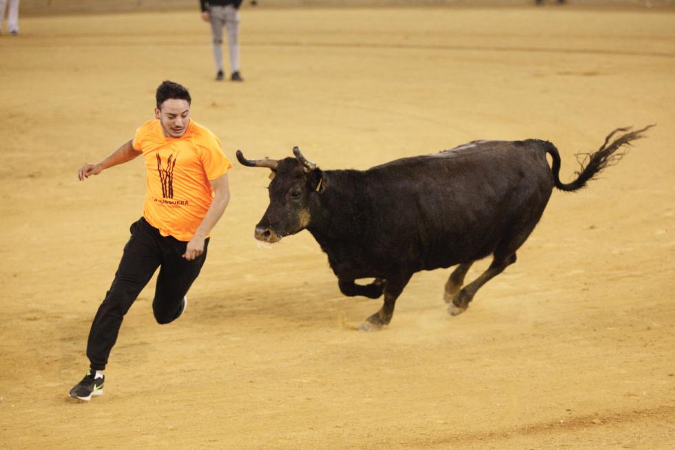Vaquillas en las Fiestas del Pilar. Lunes 7