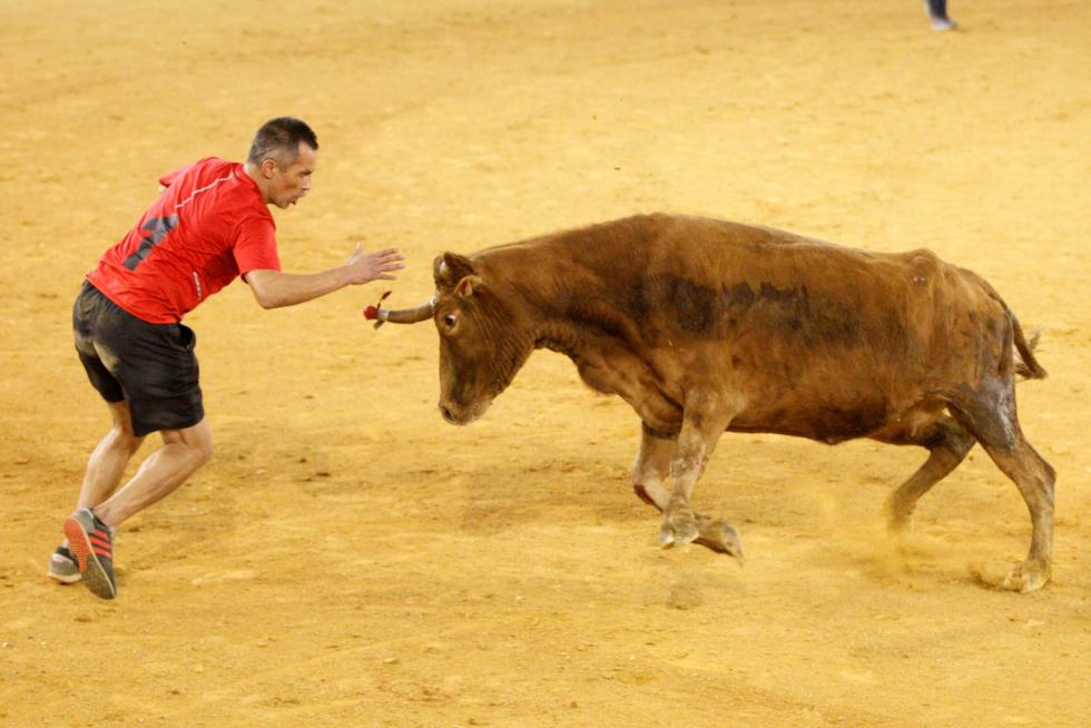 Vaquillas en las Fiesta del Pilar. Lunes 7