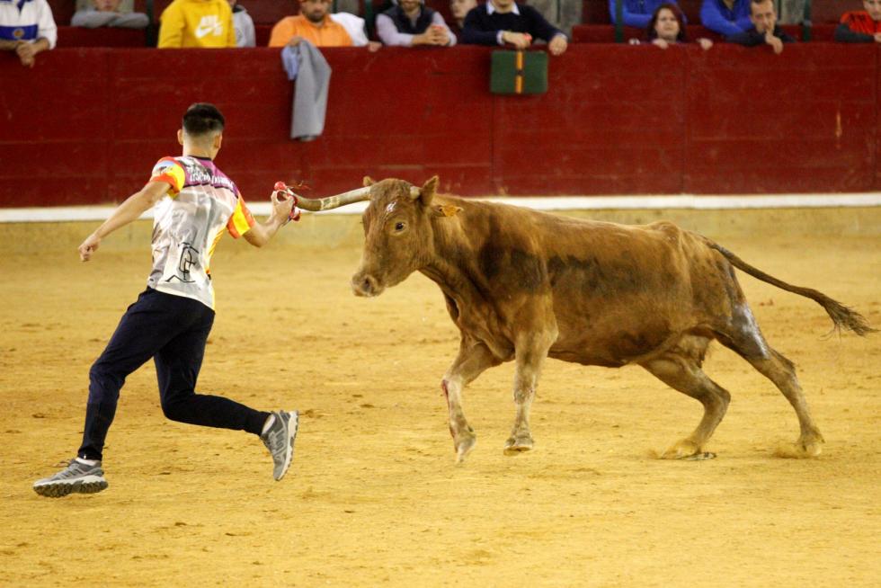 Vaquillas en las Fiesta del Pilar. Lunes 7