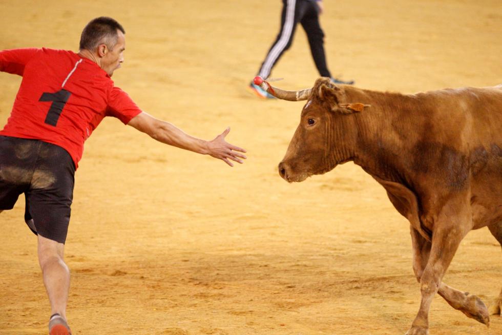 Vaquillas en las Fiesta del Pilar. Lunes 7