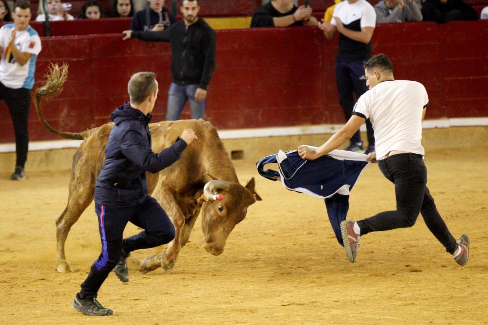 Vaquillas en las Fiesta del Pilar. Lunes 7