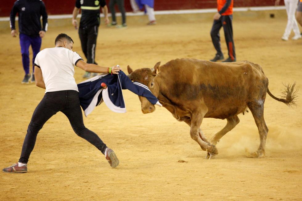 Vaquillas en las Fiesta del Pilar. Lunes 7
