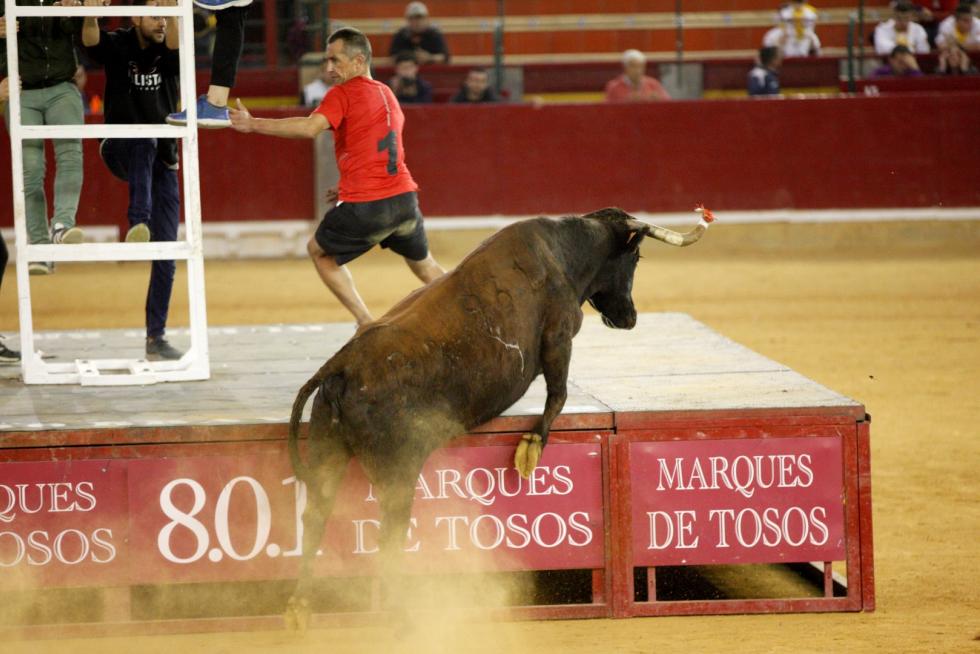 Vaquillas en las Fiesta del Pilar. Lunes 7