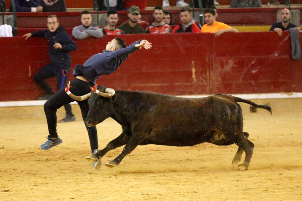 Vaquillas en las Fiesta del Pilar. Lunes 7
