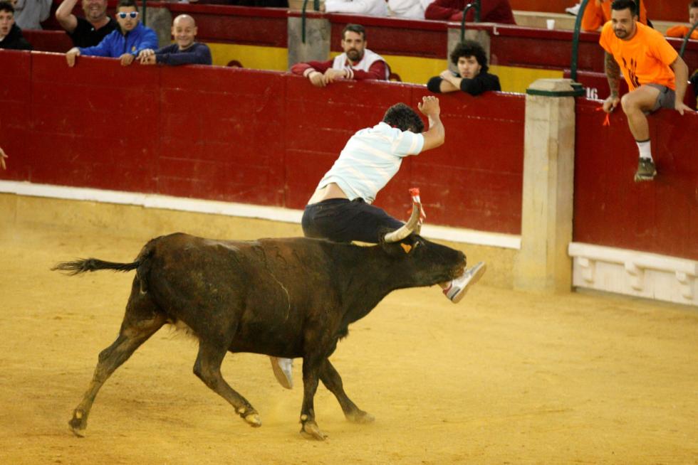Vaquillas en las Fiesta del Pilar. Lunes 7