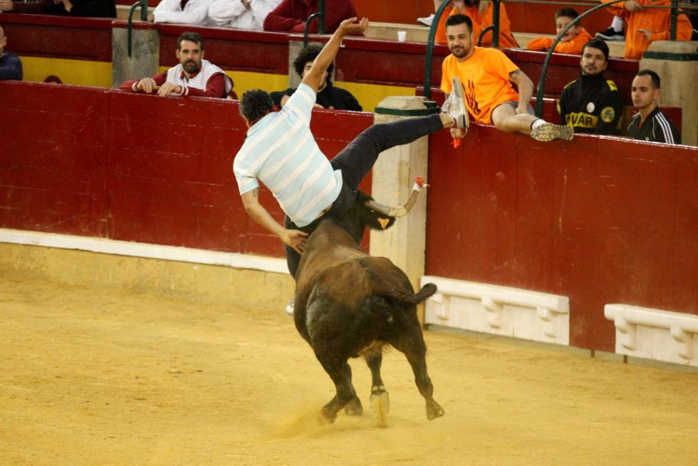 Vaquillas en las Fiesta del Pilar. Lunes 7